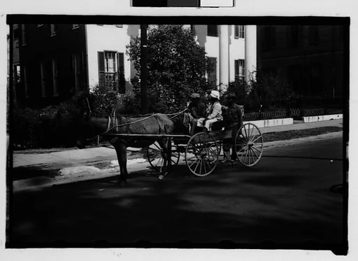 [Couple in Horse-Drawn Carriage on Street, Natchez, Mississippi]