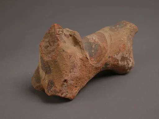Fragment of a Horse