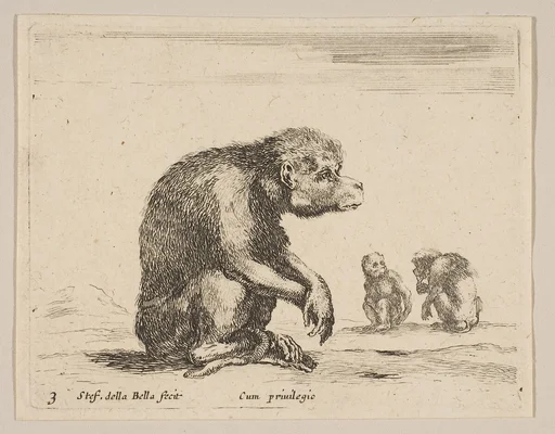 Plate 3: seated monkey, from "Various animals" (Diversi animali)