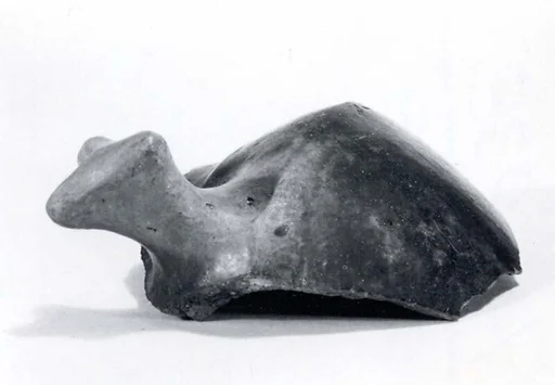 Animal head