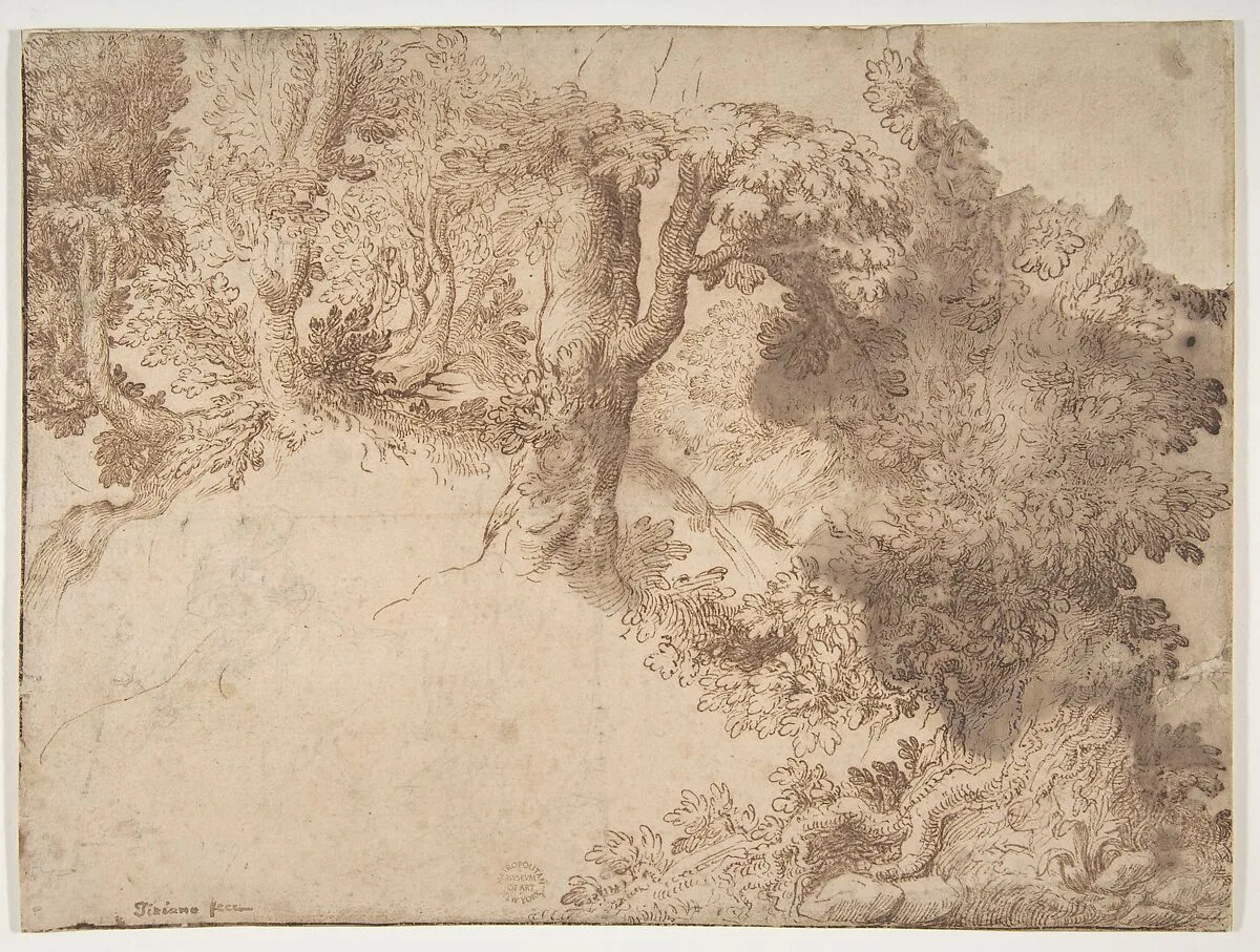 Woodland Scene with Light Sketch of a Madonna and Child — Girolamo Muziano