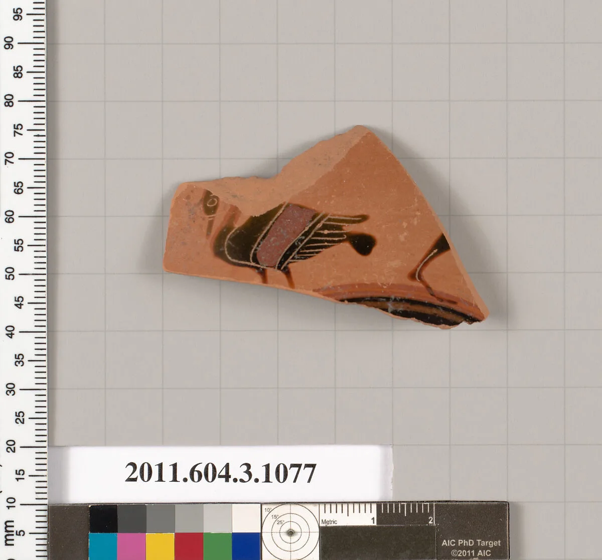 Terracotta fragment of a mastoid (drinking cup with narrow base) — Unknown