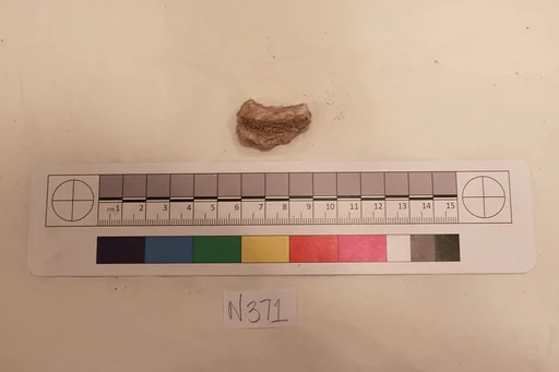 Stucco Fragment