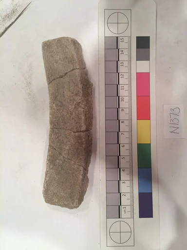 Stucco Fragment