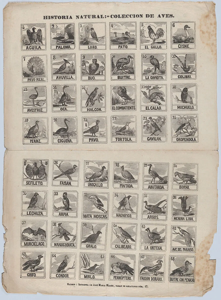 Broadside with 48 scenes of birds — José María Marés