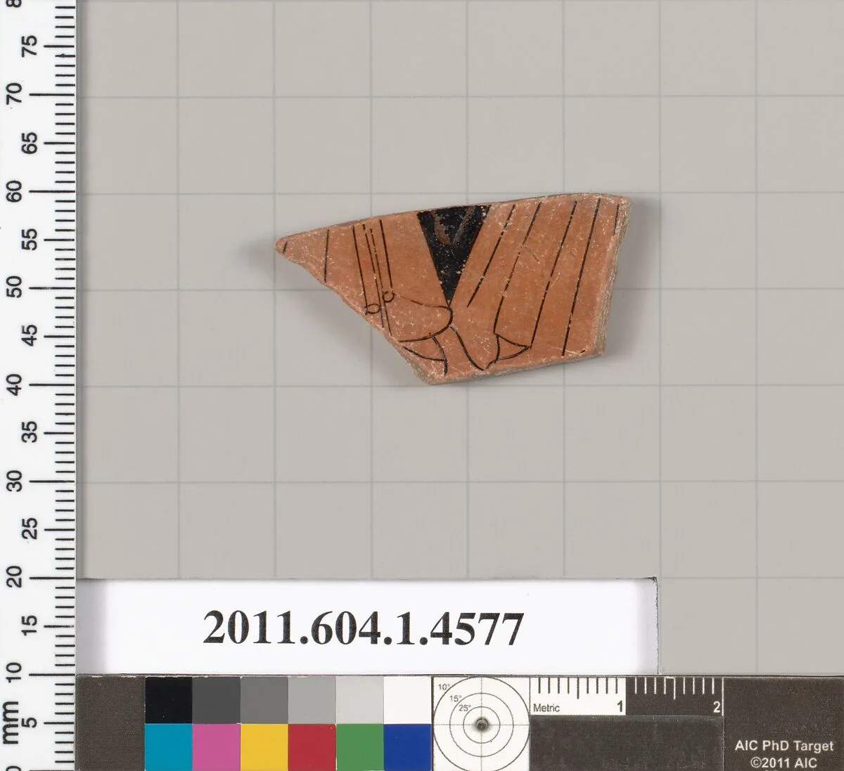 Terracotta fragment of a kylix (drinking cup) — Unknown