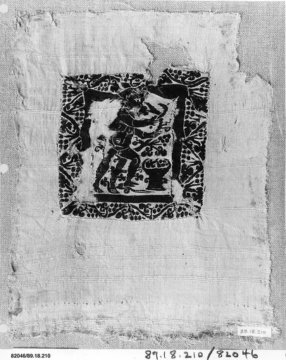 Textile Fragment