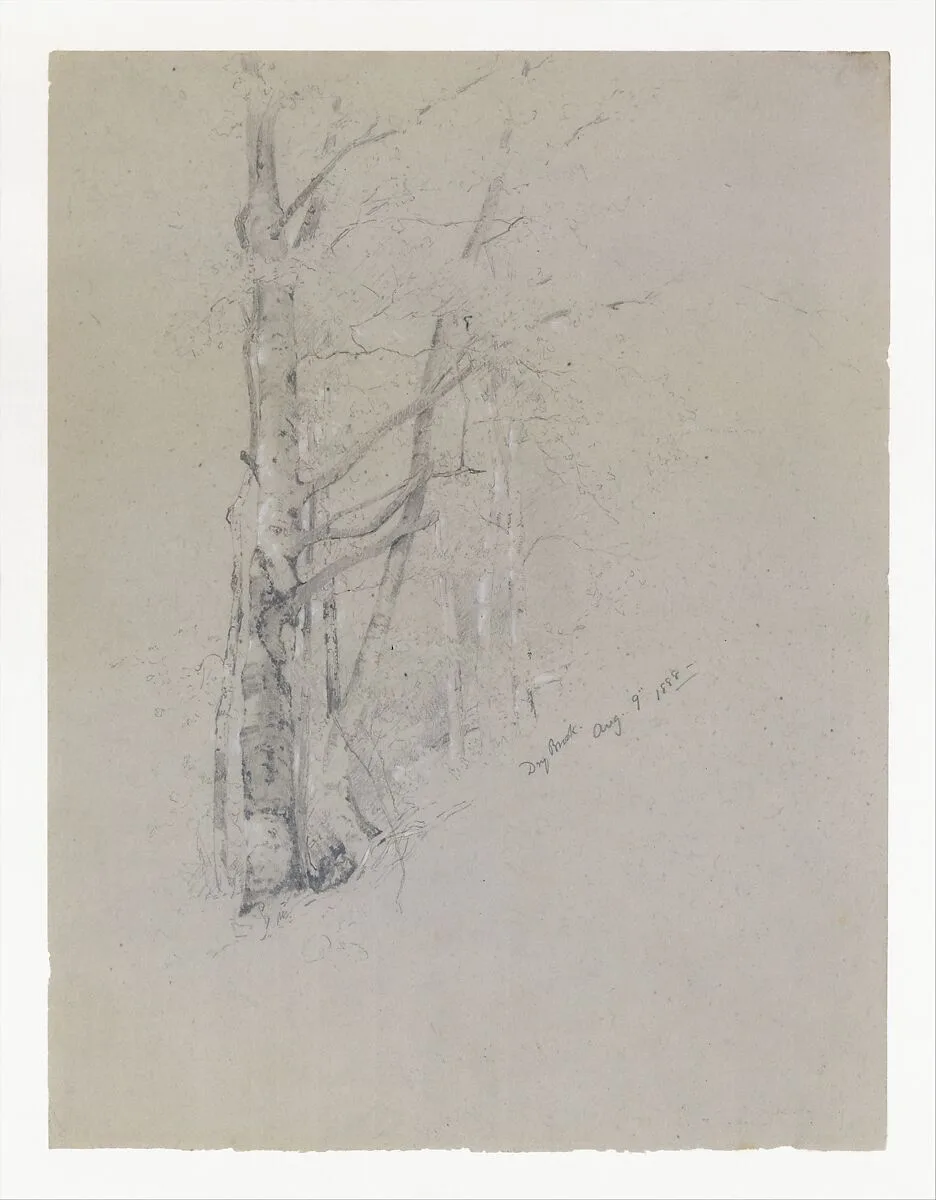 Dry Brook — Jervis McEntee
