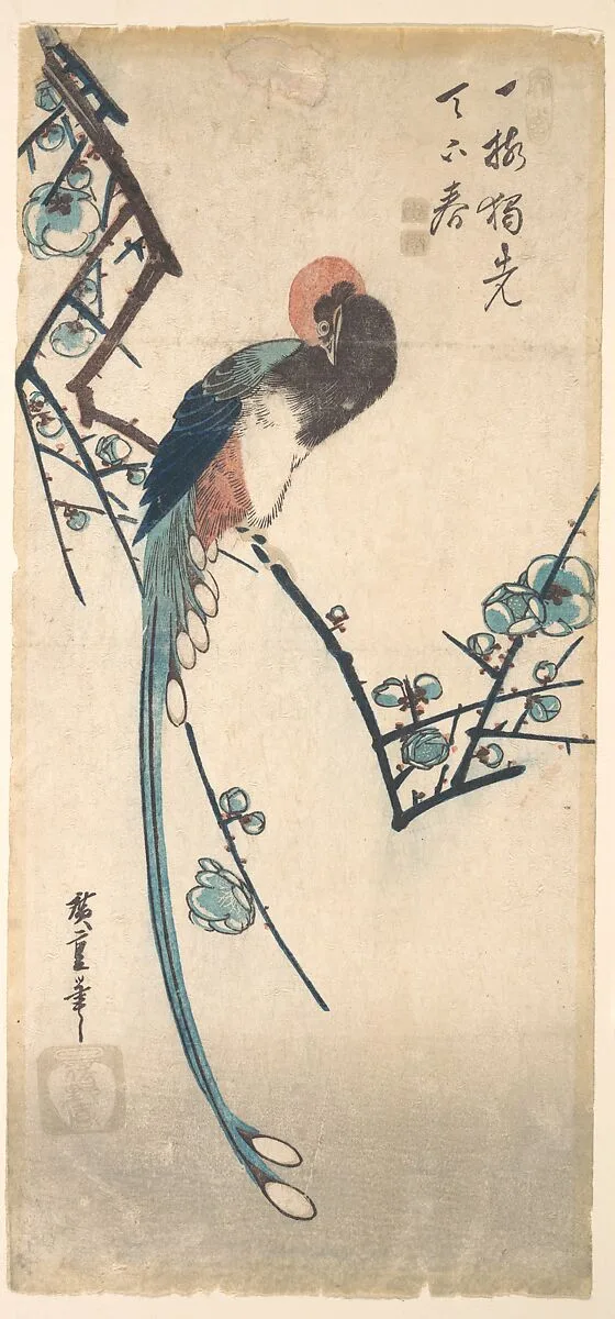 梅に三光鳥|Long Tailed Bird — Utagawa Hiroshige