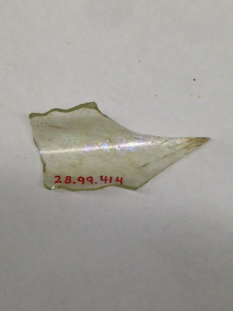 Fragment — Unknown