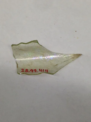 Fragment