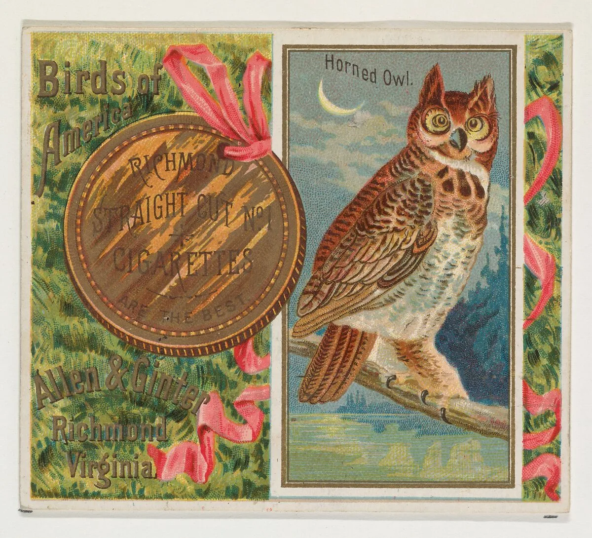 Horned Owl, from the Birds of America series (N37) for Allen & Ginter Cigarettes — Allen & Ginter