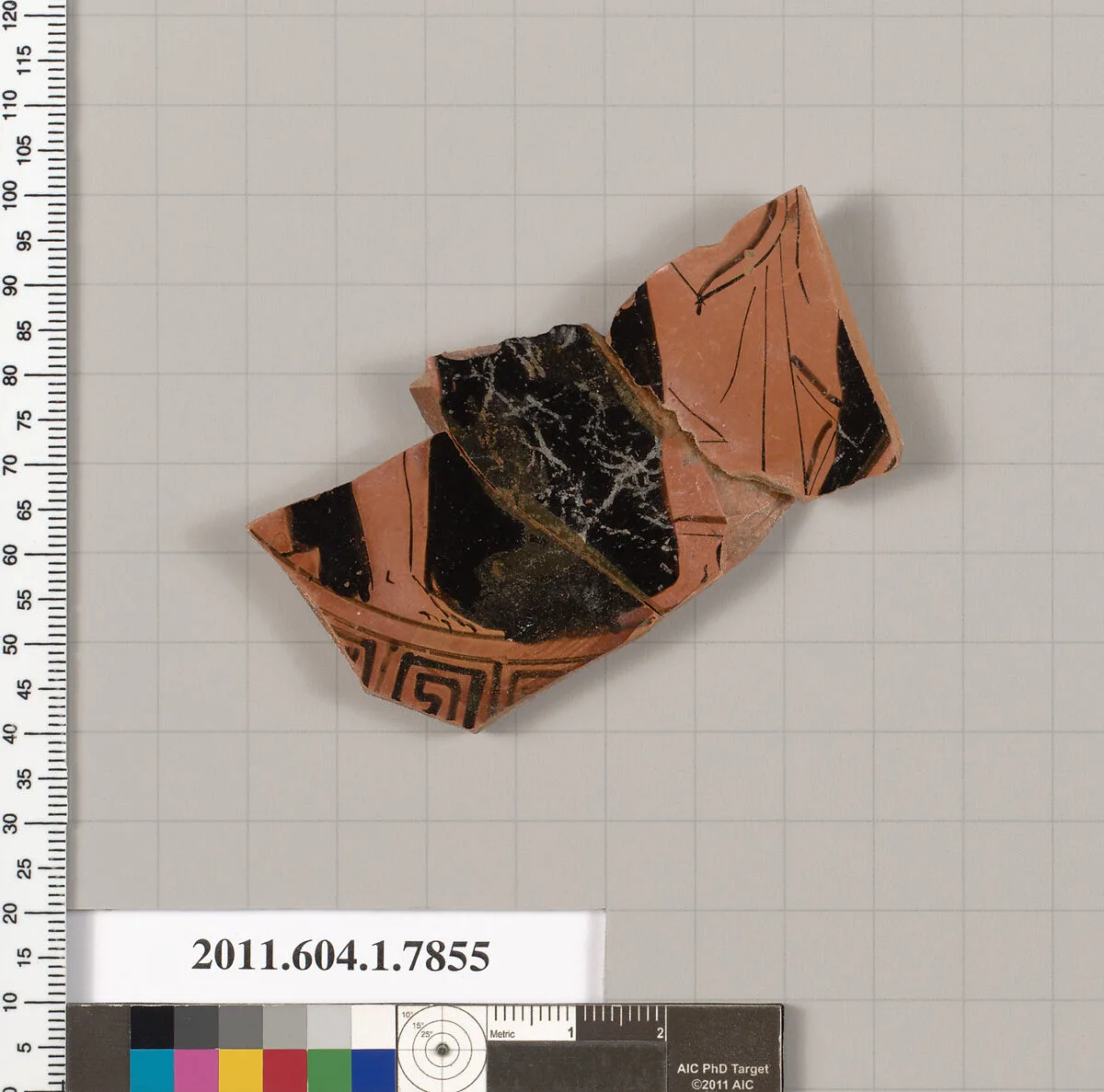 Terracotta fragment of a kylix (drinking cup) — Unknown