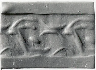 Cylinder seal — Unknown