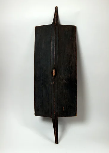Shield