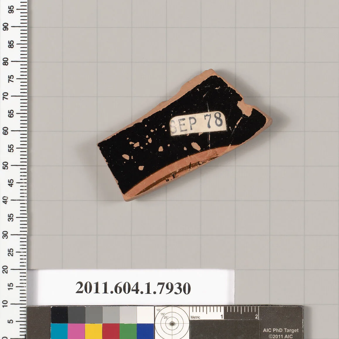 Terracotta fragment of a kylix (drinking cup) — Unknown