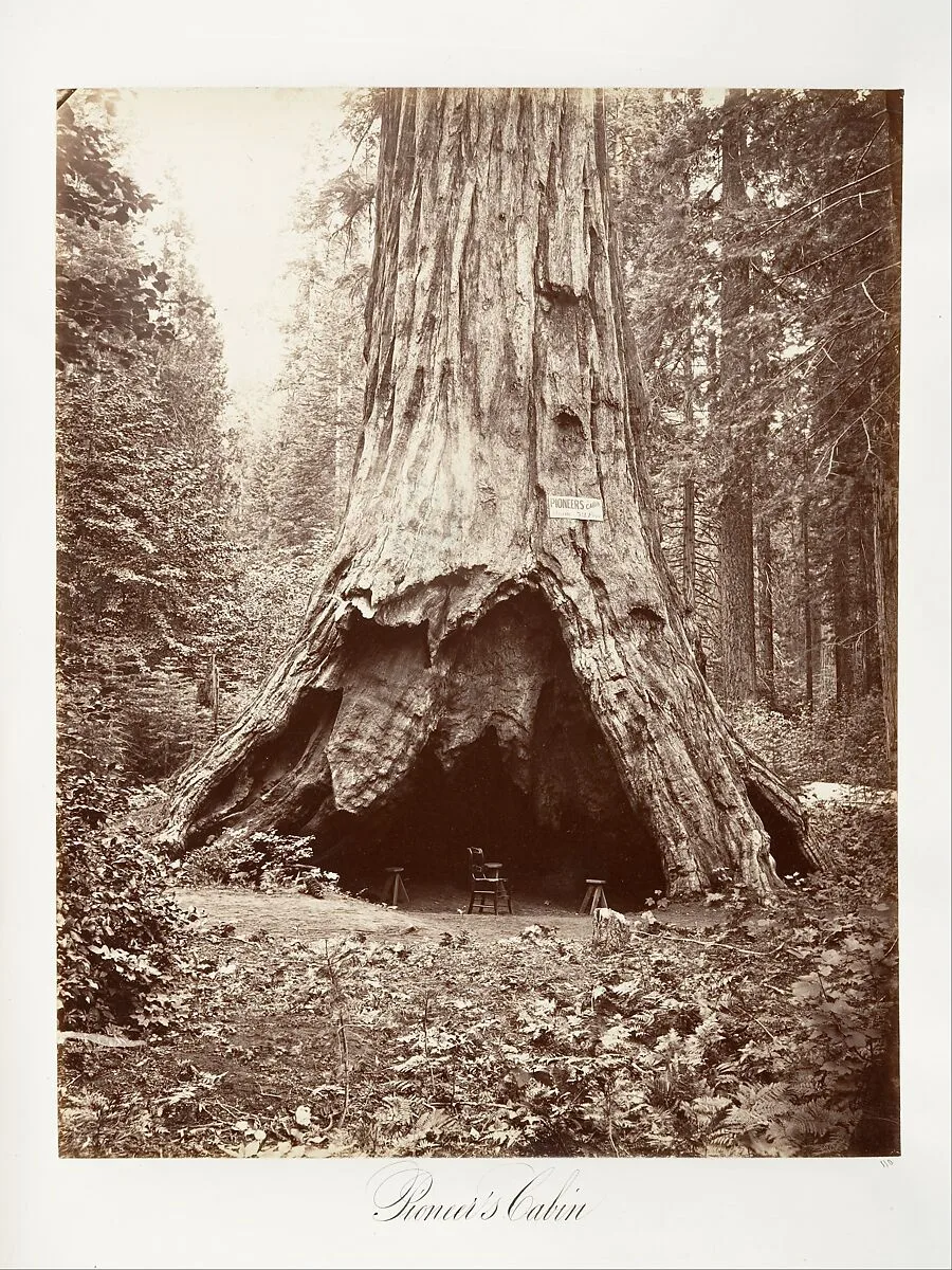 Pioneer's Cabin — Carleton E. Watkins