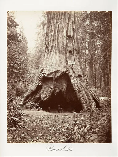 Pioneer's Cabin
