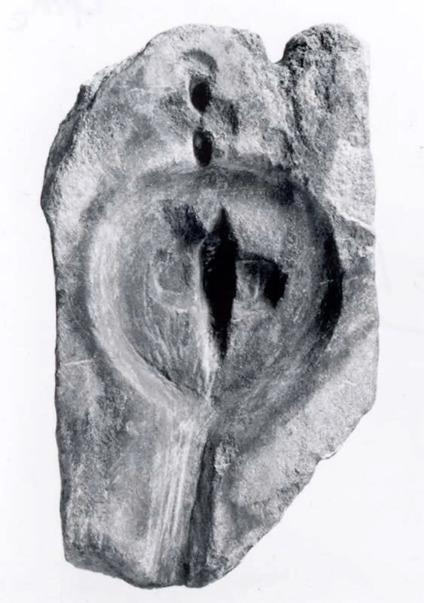 Mold — Unknown
