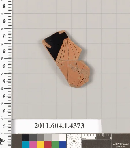 Terracotta fragment of a kylix (drinking cup)