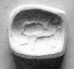 Cushion seal — Unknown