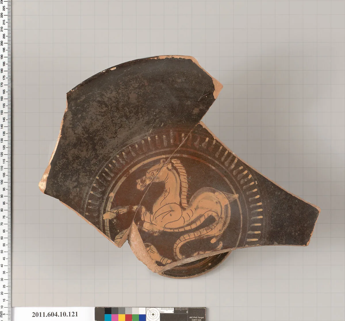 Terracotta fragment of a kylix (drinking cup) — Unknown