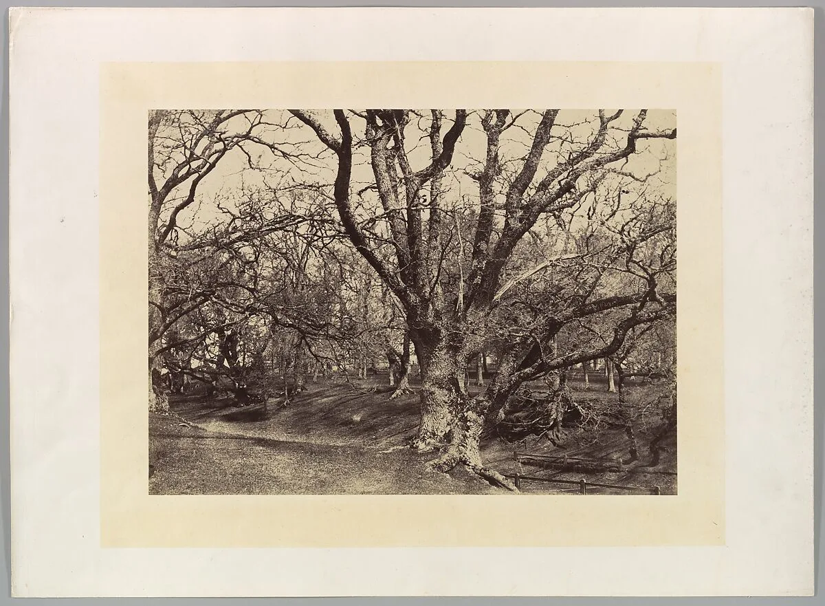 Pepperharrow Park, Surrey — Benjamin Brecknell Turner