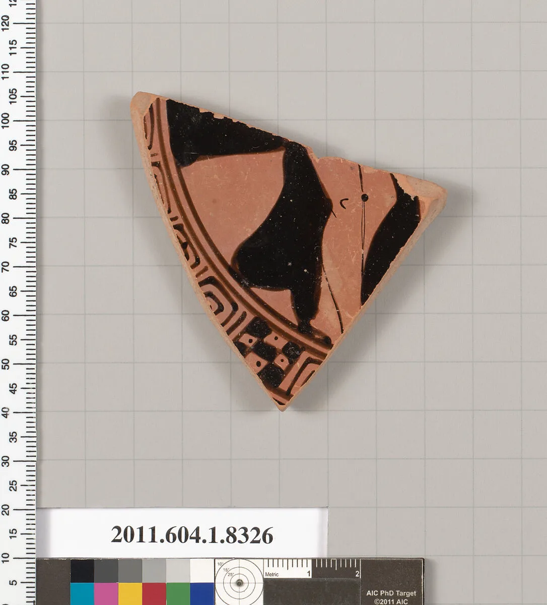 Terracotta fragment of a kylix (drinking cup) — Unknown