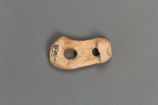 装身具|Body ornament