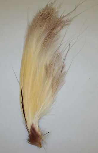 Aigrette