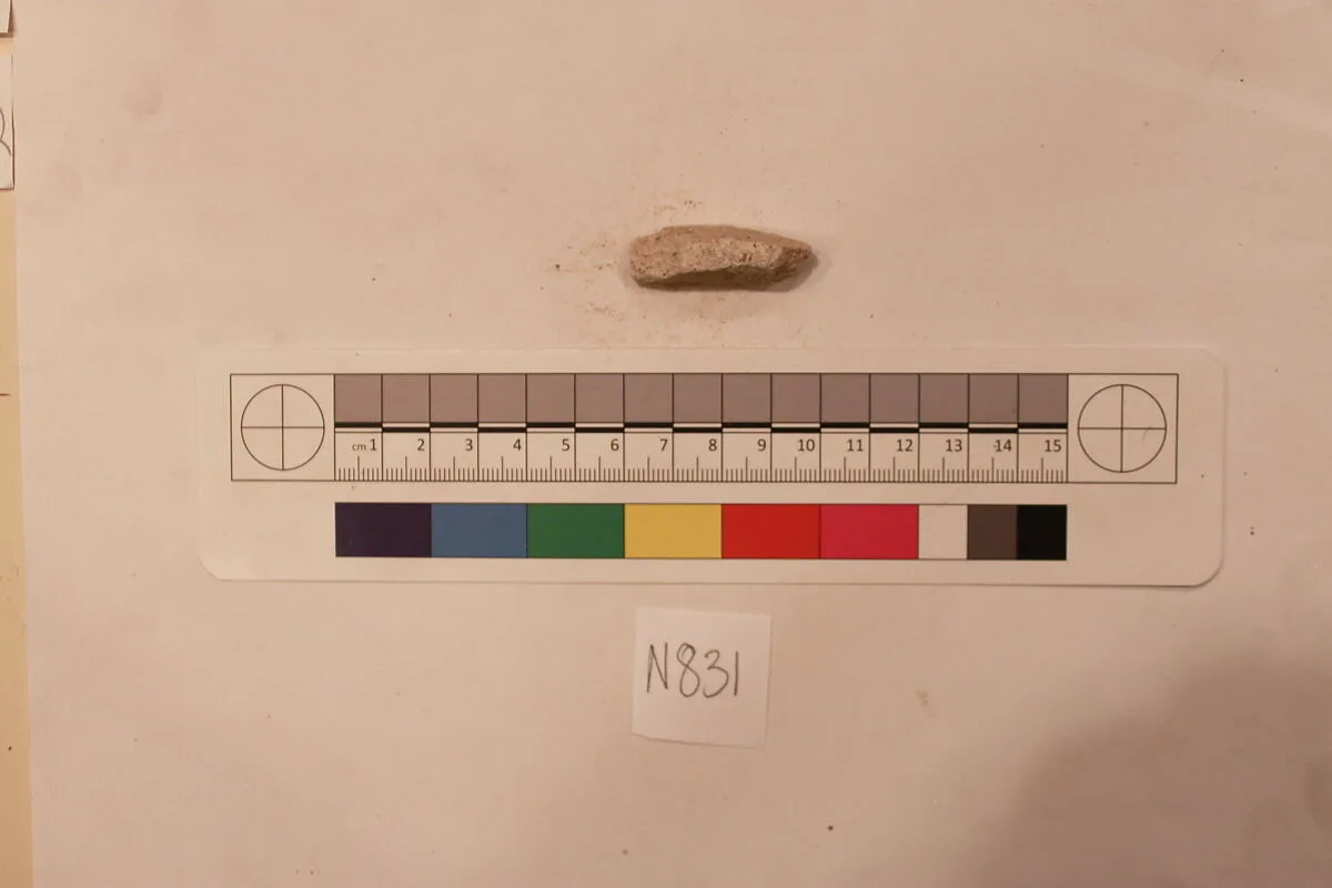 Stucco Fragment — Unknown