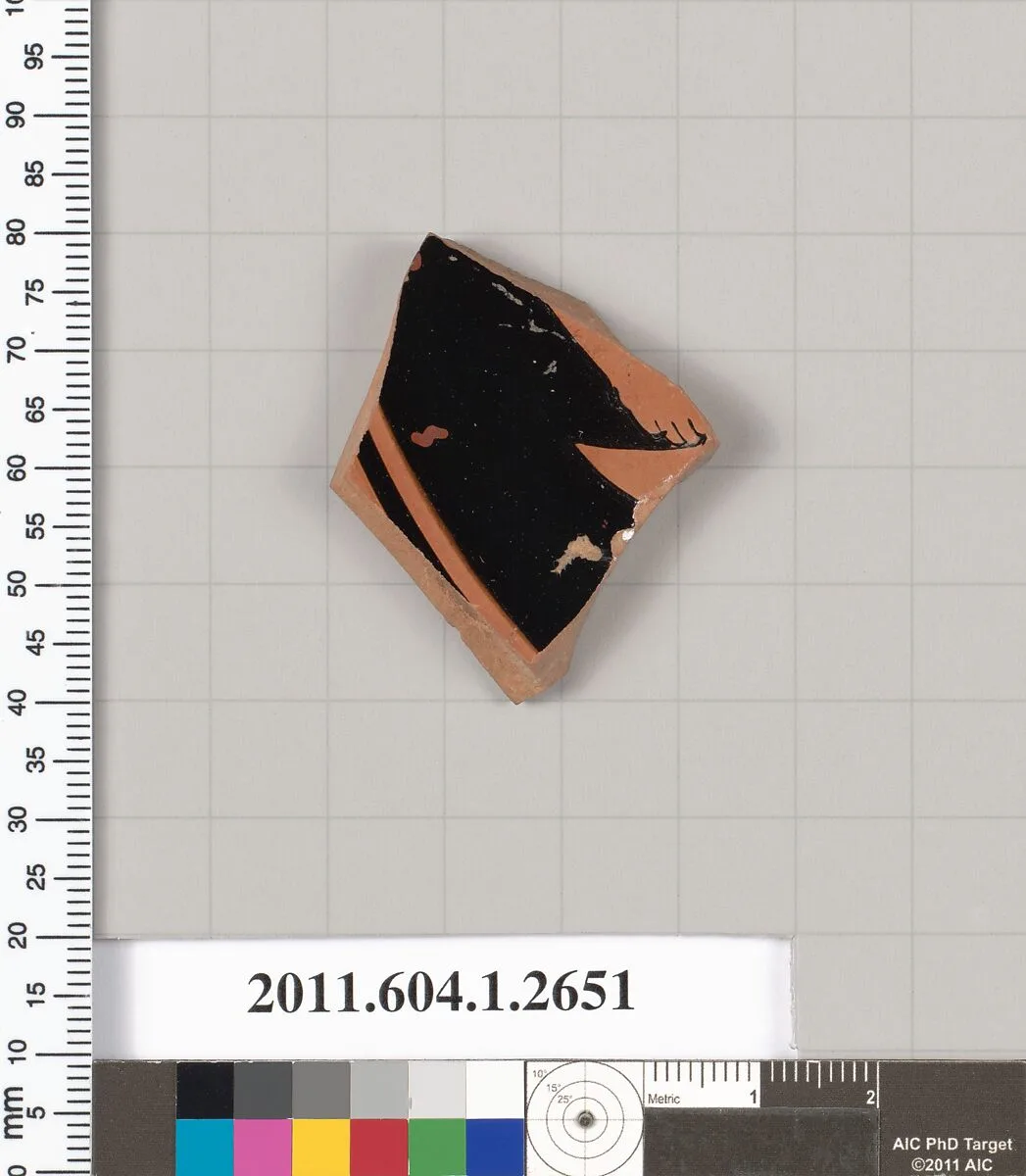 Terracotta fragment of a kylix (drinking cup) — Unknown