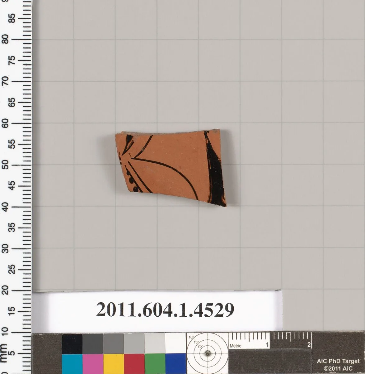 Terracotta fragment of a kylix (drinking cup) — Unknown
