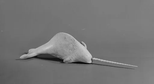Ivory Narwahl with Tusk