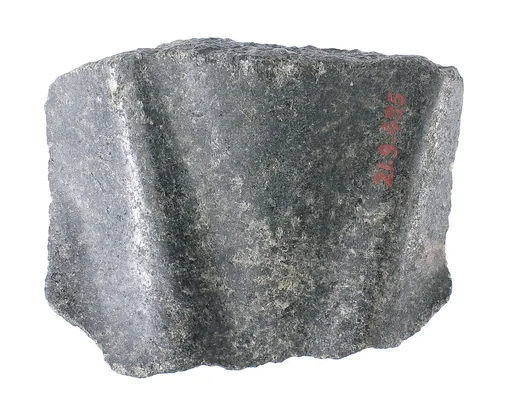 Front of a neck