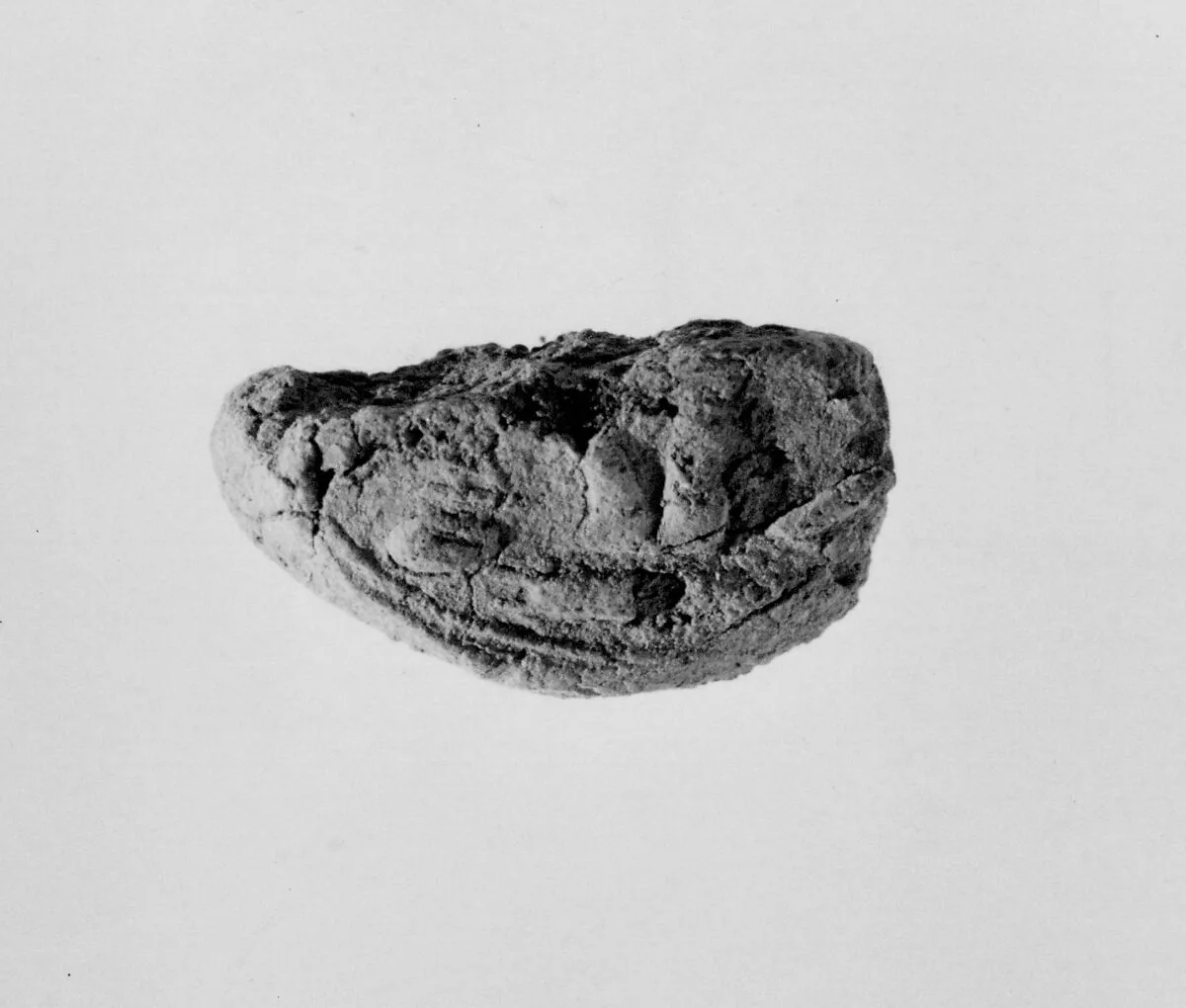 Document Sealing With the Throne Name of Amenhotep III — Unknown