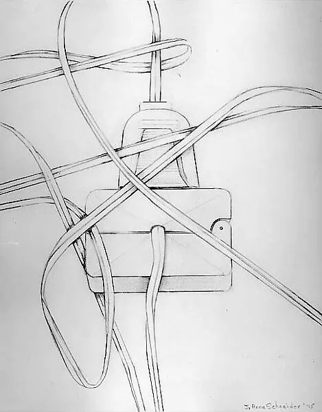 Electric Cord — Jo Anne Schneider