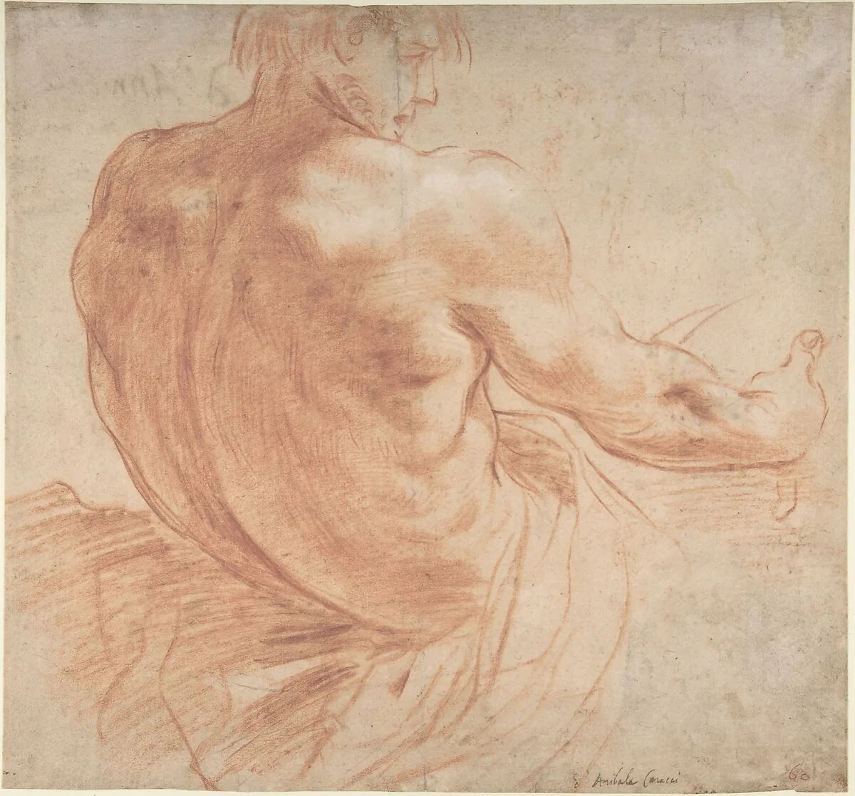 Seated Youth Facing Right, Seen from the Back — Annibale Carracci