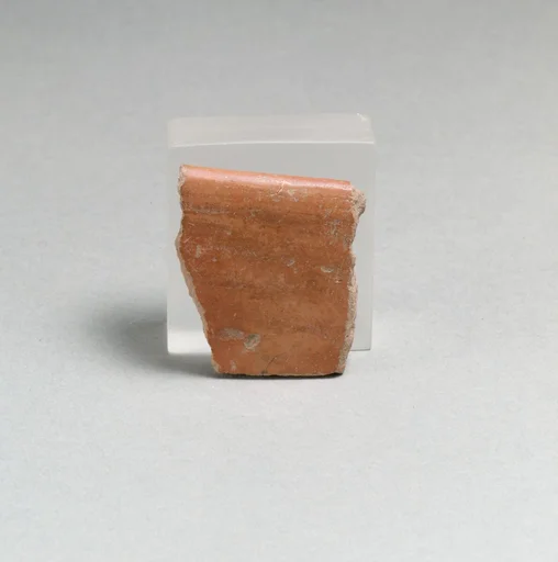 Vase fragment