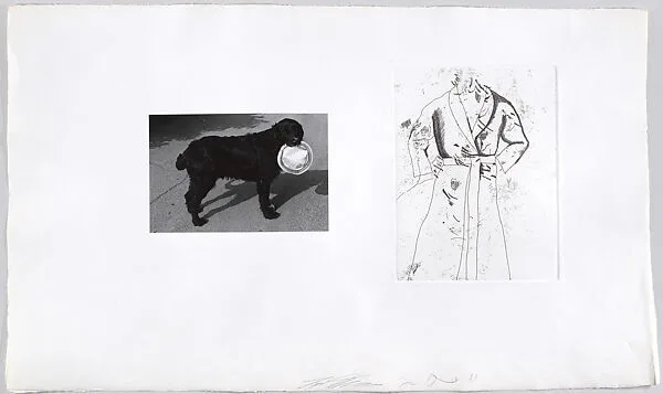 Photographs and Etchings III from Photographs and Etchings — Petersburg Press, Ltd.|Lee Friedlander|Jim Dine