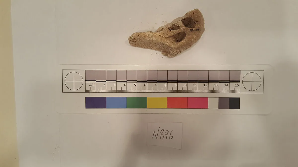 Stucco Fragment — Unknown