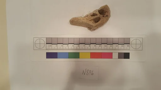 Stucco Fragment
