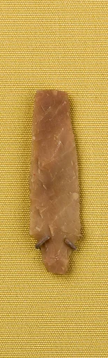 Projectile Point