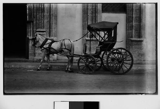 [Horse-Drawn Covered Carriage, Havana]