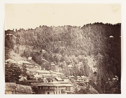 [Simla Bazaar]