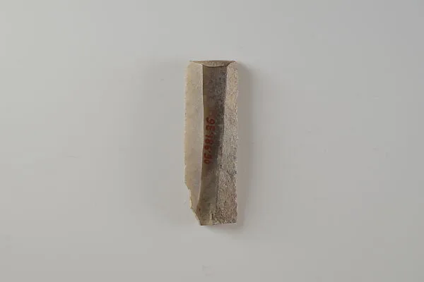 Sickle Insert — Unknown