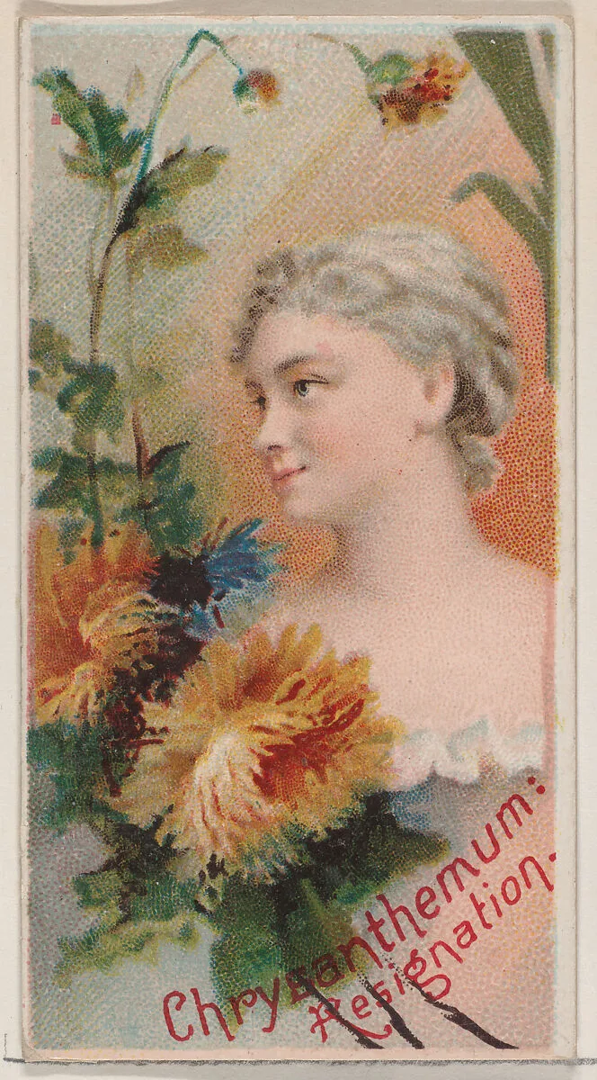 Chrysanthemum: Resignation, from the series Floral Beauties and Language of Flowers (N75) for Duke brand cigarettes — Donaldson Brothers|American Tobacco Company