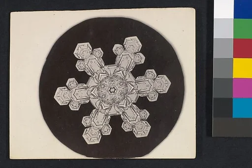 [Snow Crystal]