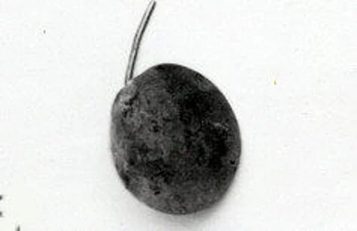 Disk ornament