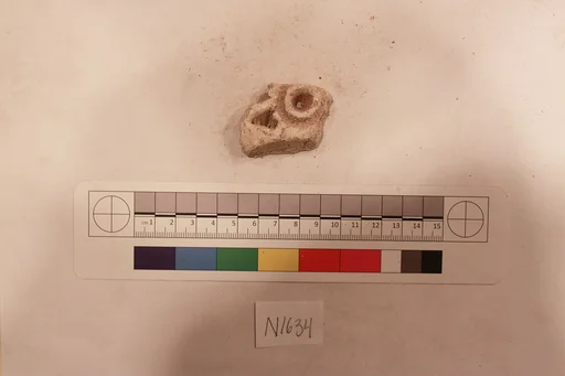Stucco Fragment